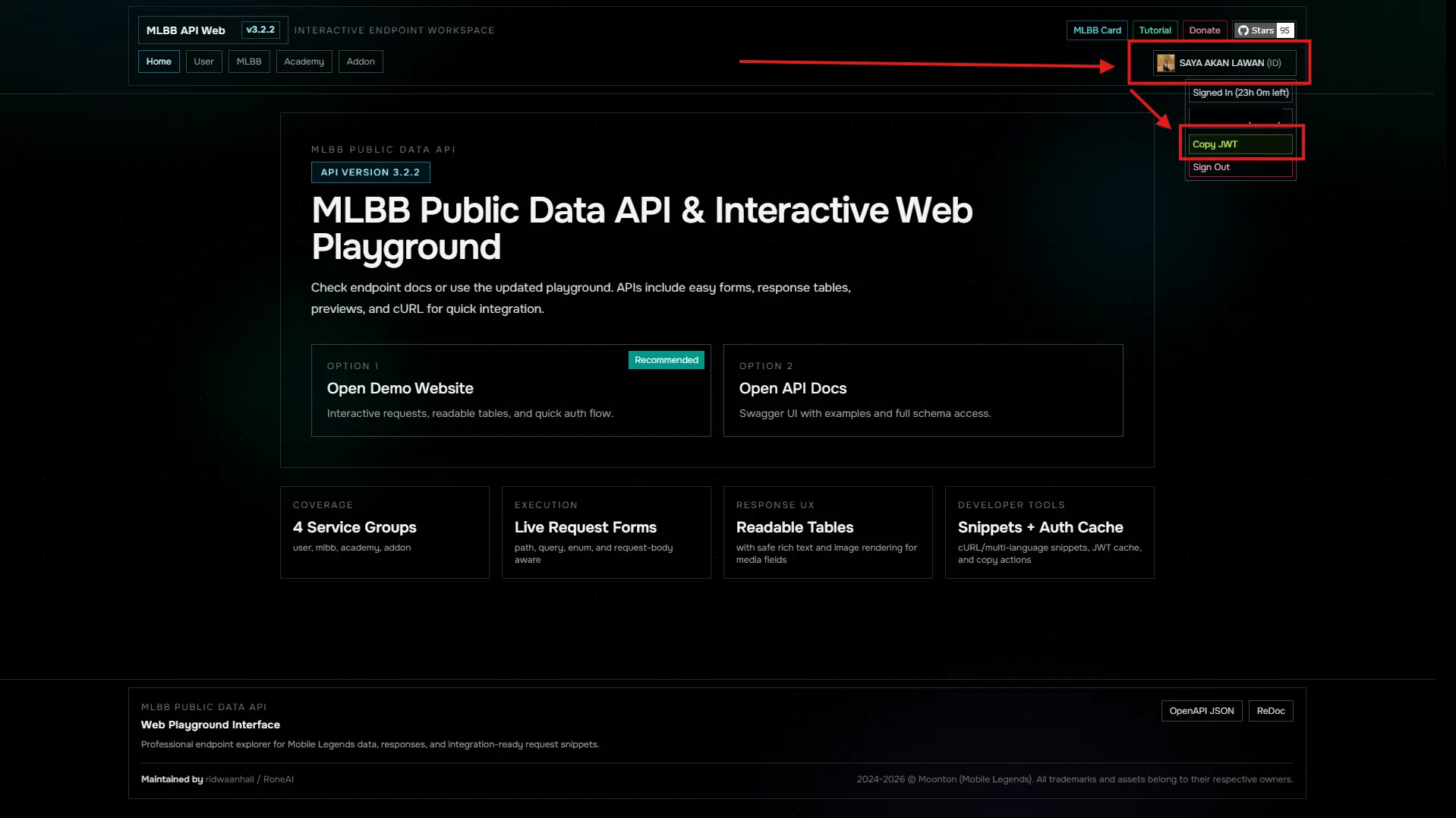 Step 6: Optionally Use API Docs